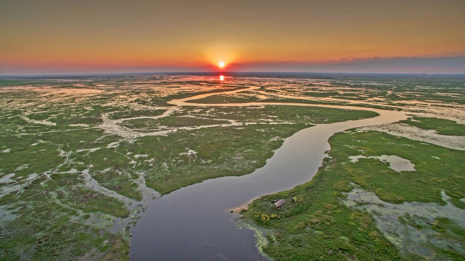 Peces de los Esteros del Iberá: dorado, surubí, pacú y tararira