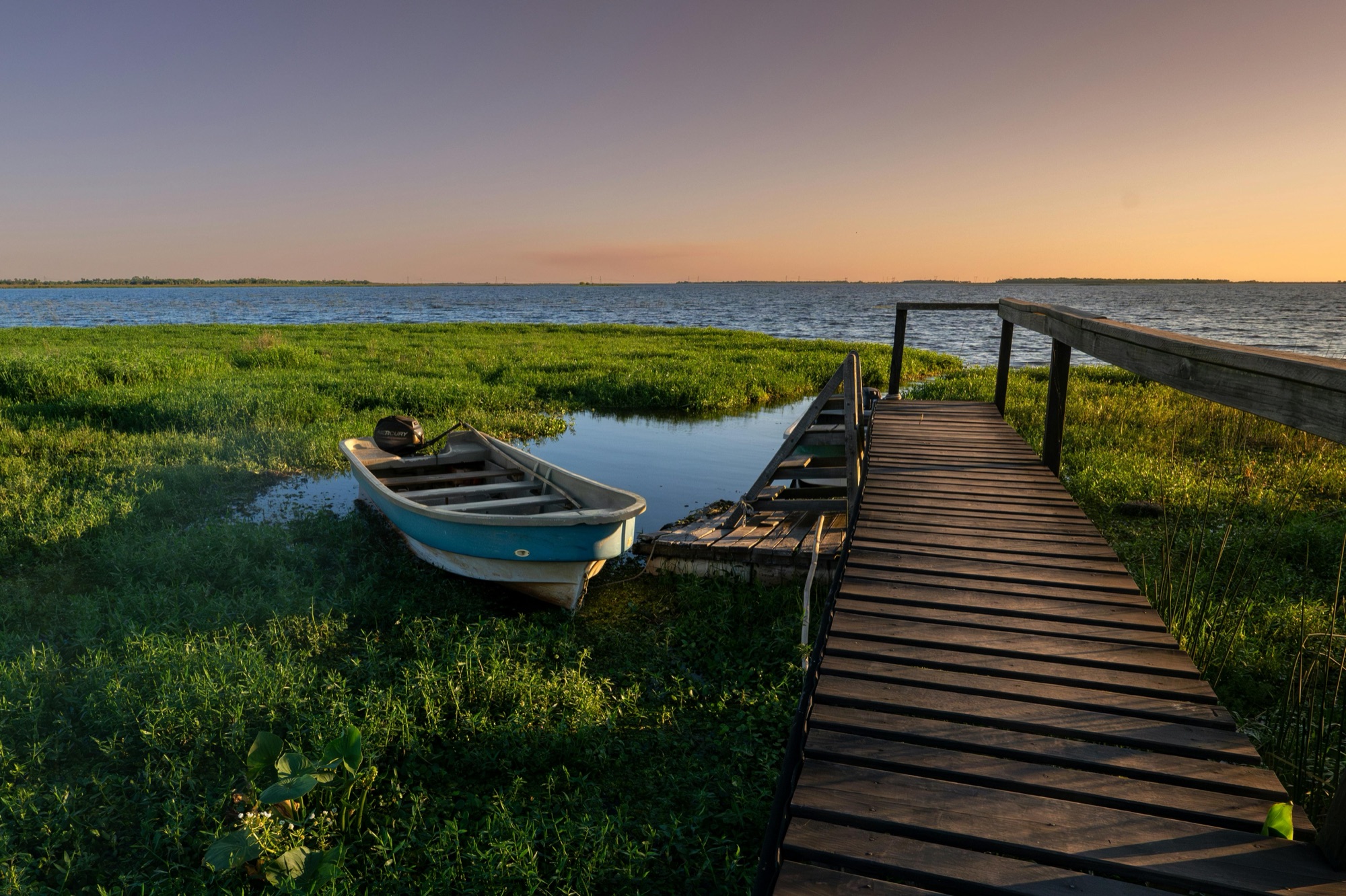Is the Iberá Wetlands Worth Visiting? An Honest Answer