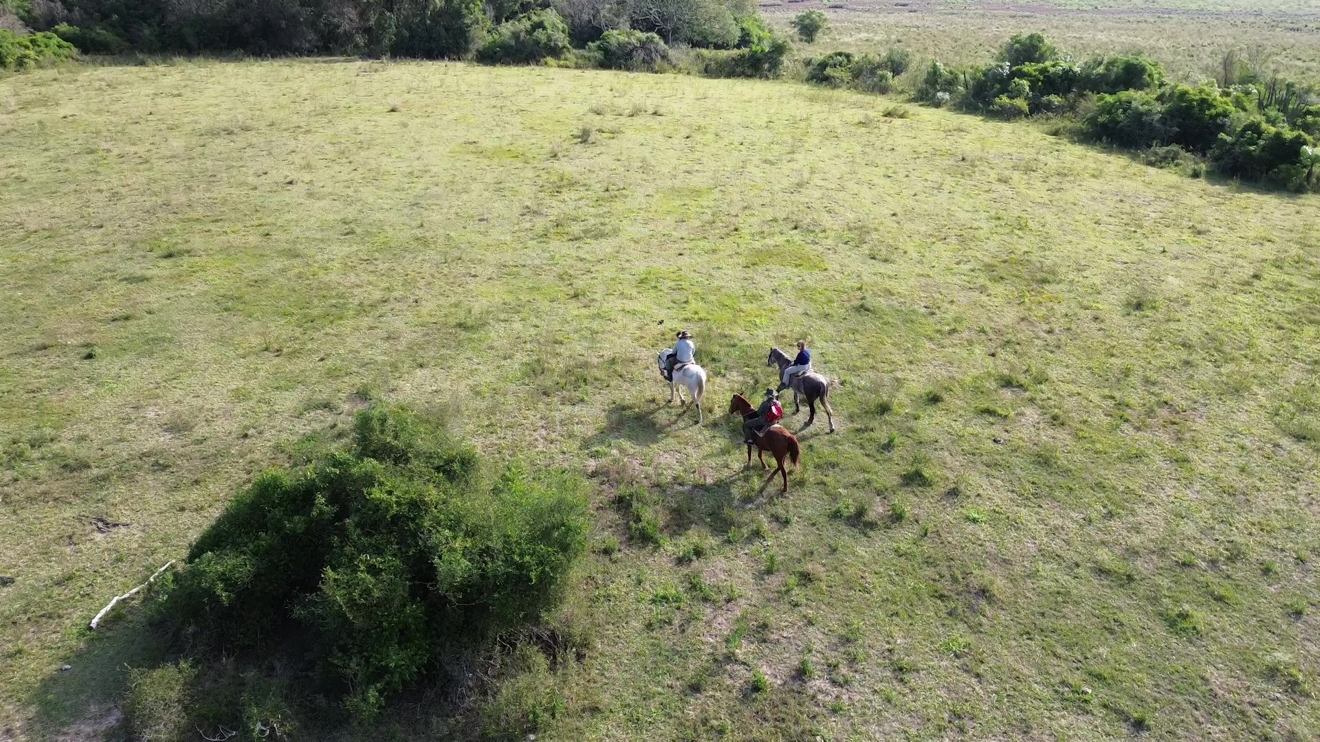 How Many Days Do You Need in the Iberá Wetlands?