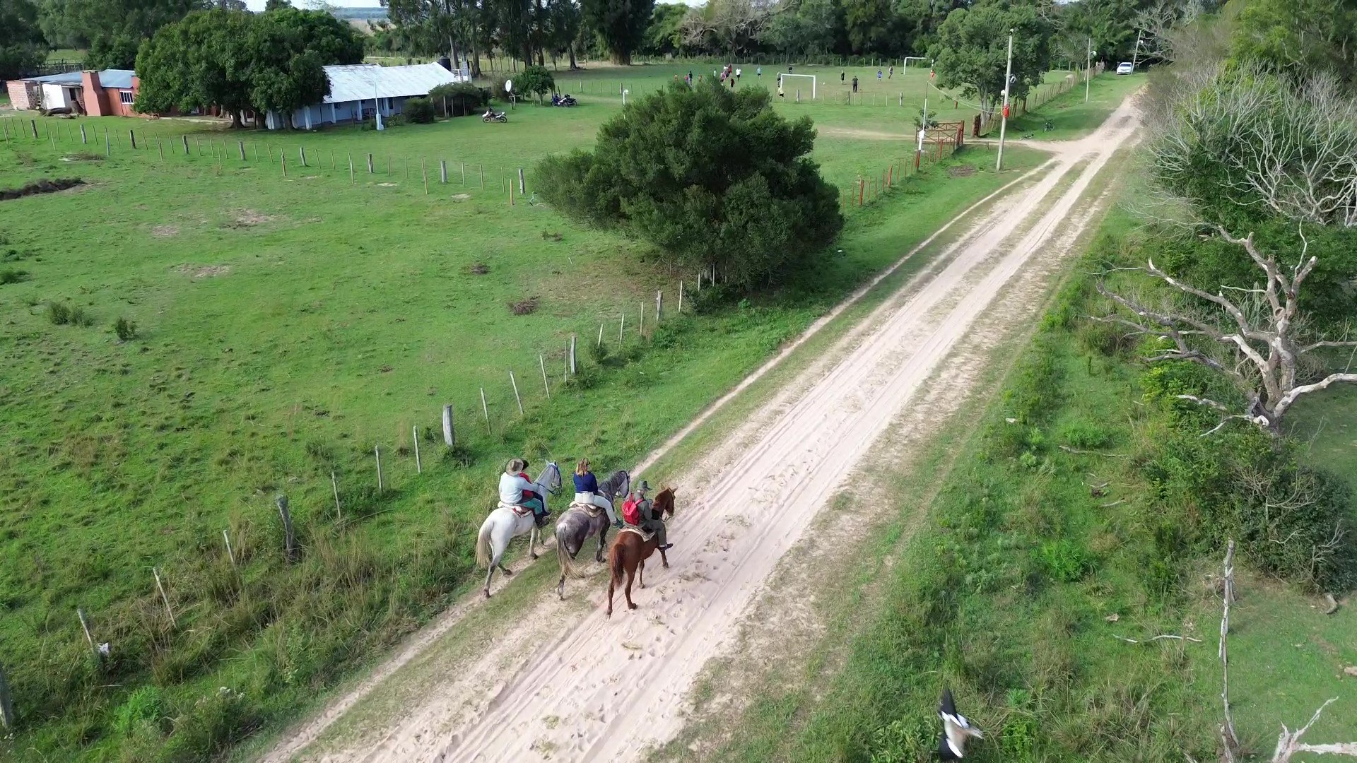 How to Get to the Iberá Wetlands: Routes, Buses and the Gravel Road (2026)