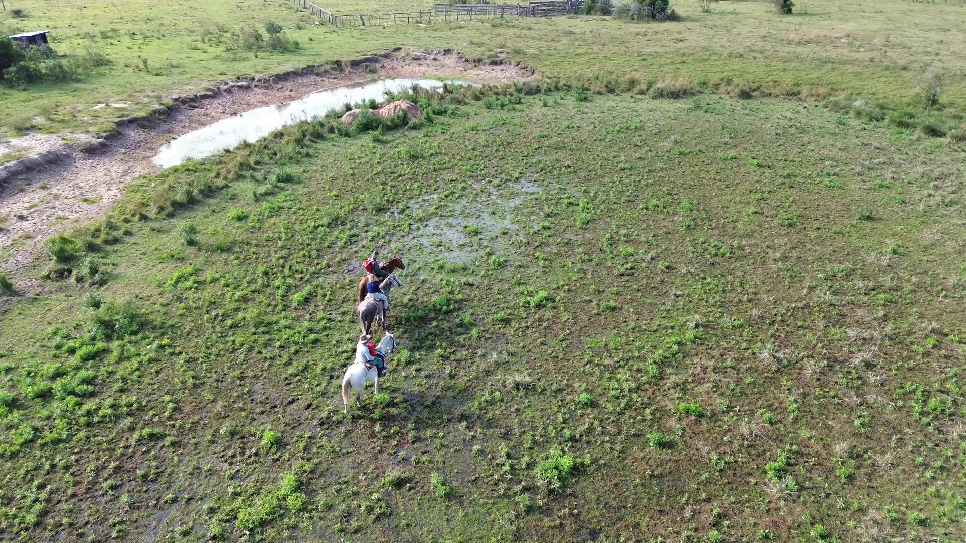 Iberá Wetlands: The Complete 2026 Budget and Cost Breakdown