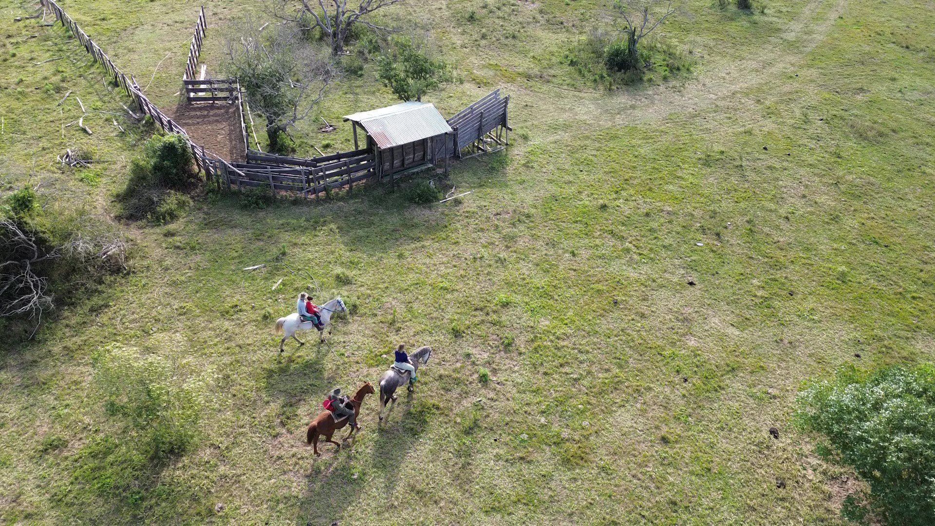 How Iberá Became the Great Rewilding Story of the Americas