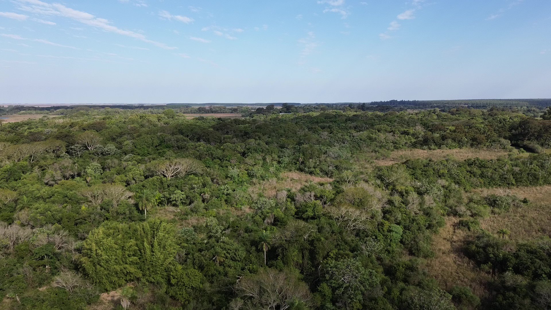 The Best Time to Visit the Iberá Wetlands (and Why Winter Wins)