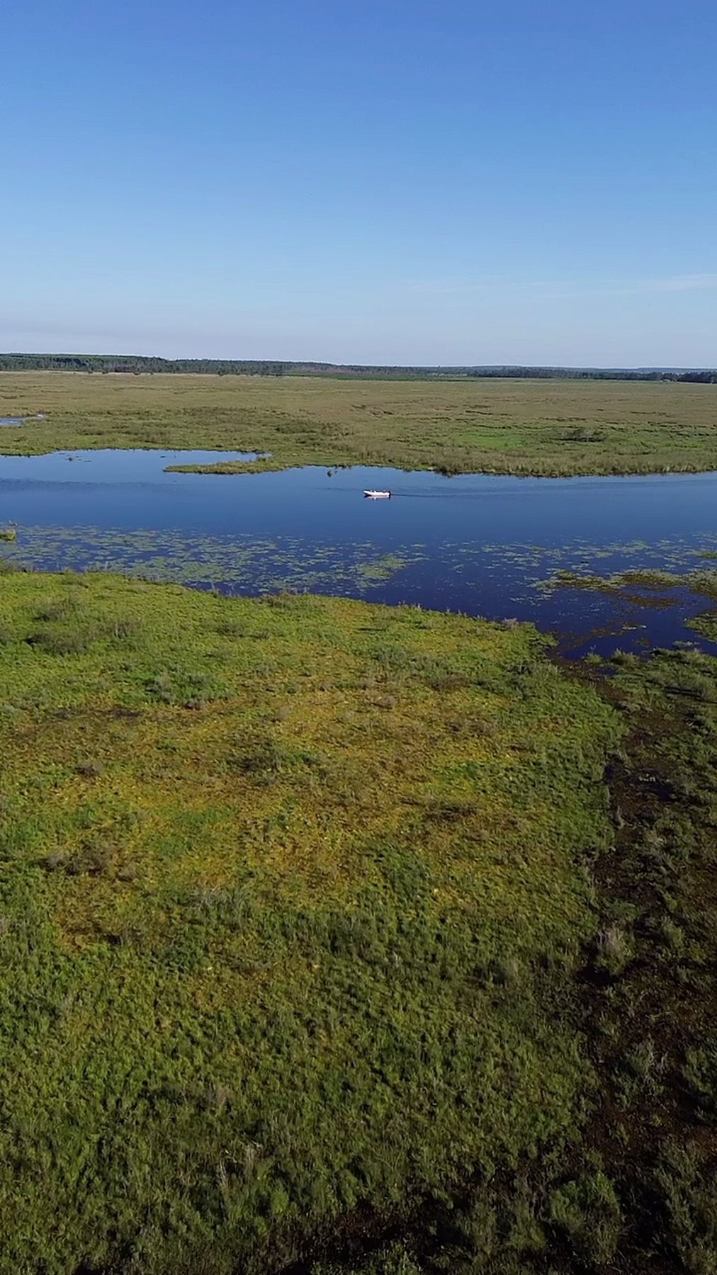 Can You Actually See a Jaguar in Iberá? Realistic Expectations (2026)