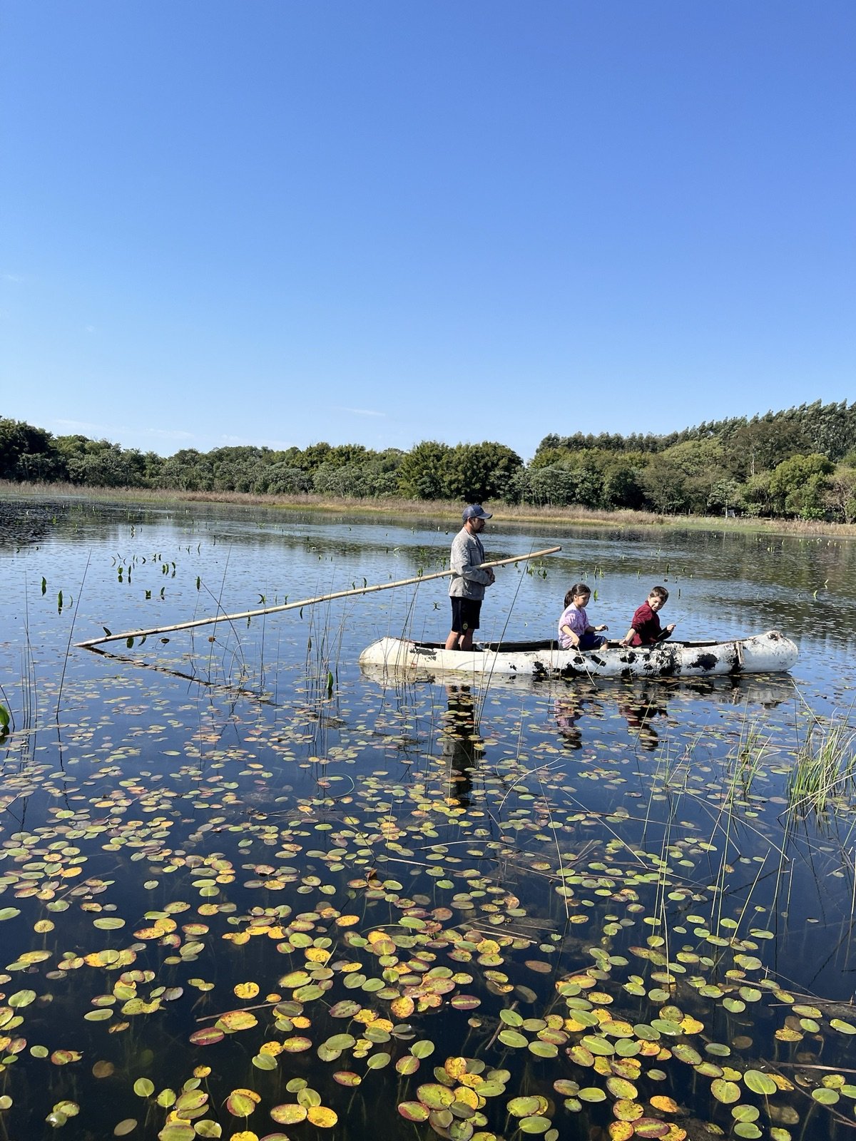 Un hombre con botador y dos chicos en una canoa entre plantas acuáticas, Esteros del Iberá