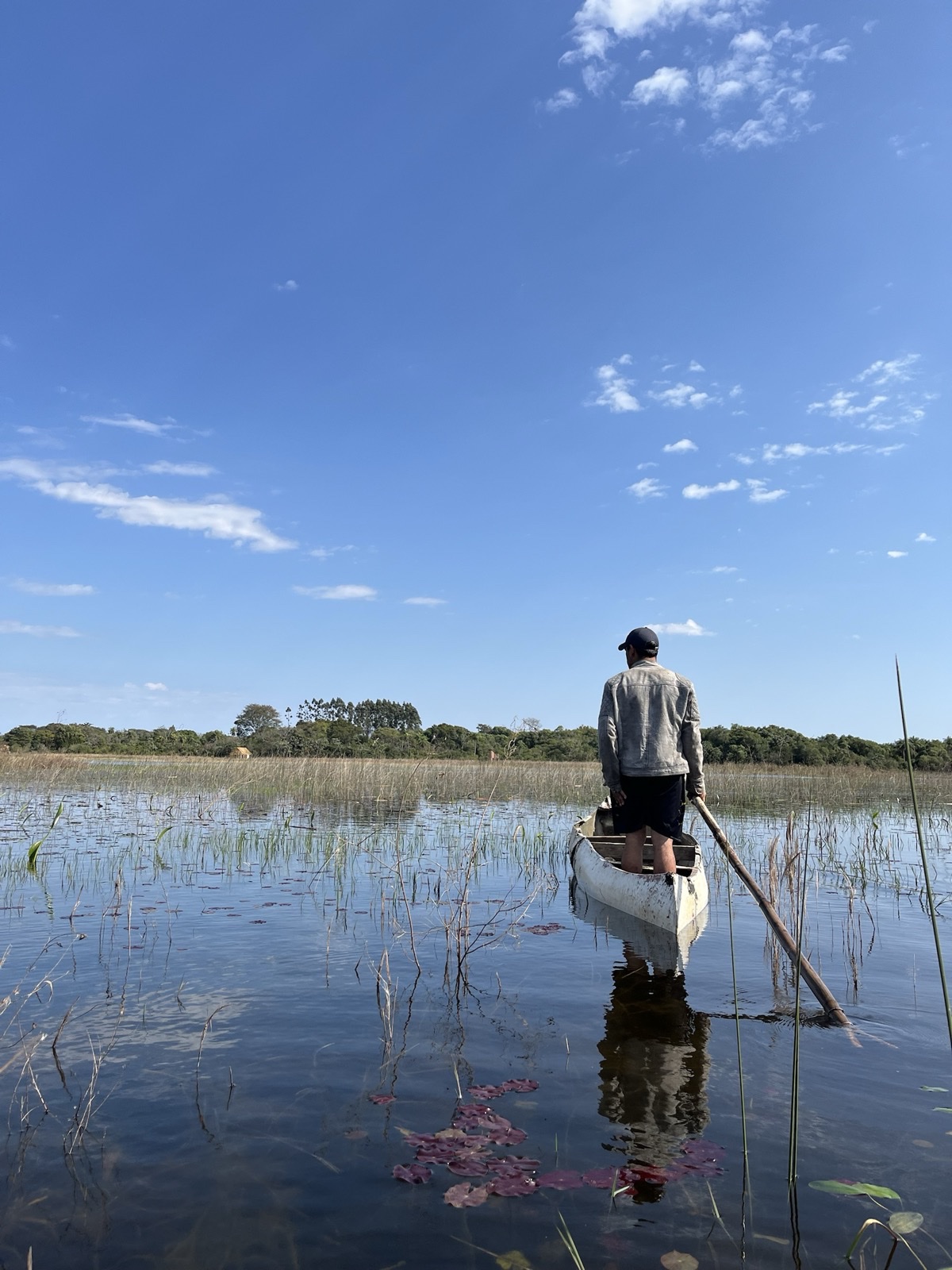Hombre de pie en una canoa, apoyando una vara larga en el agua de un estero abierto del Iberá