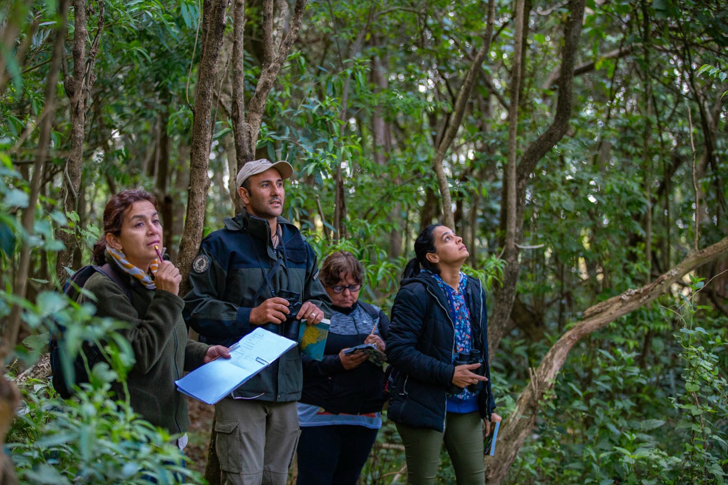 Guía local con grupo de viajeros avistando fauna en la selva del Iberá