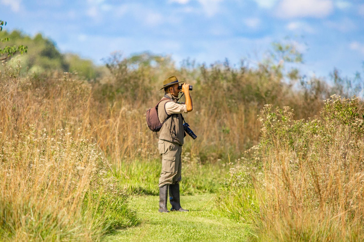 Birder con binoculares observando aves en los pastizales del Iberá
