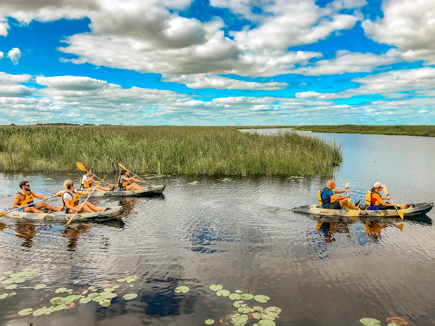 Grupo de kayakistas remando entre los esteros durante el Cruce de los Esteros, Iberá