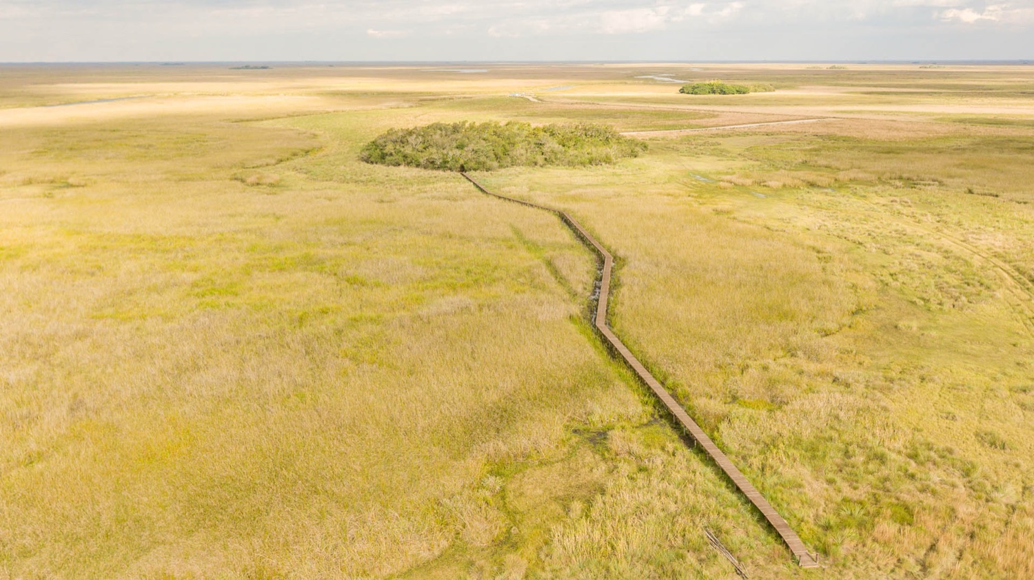 Esteros del Iberá: guía completa para tu primera visita