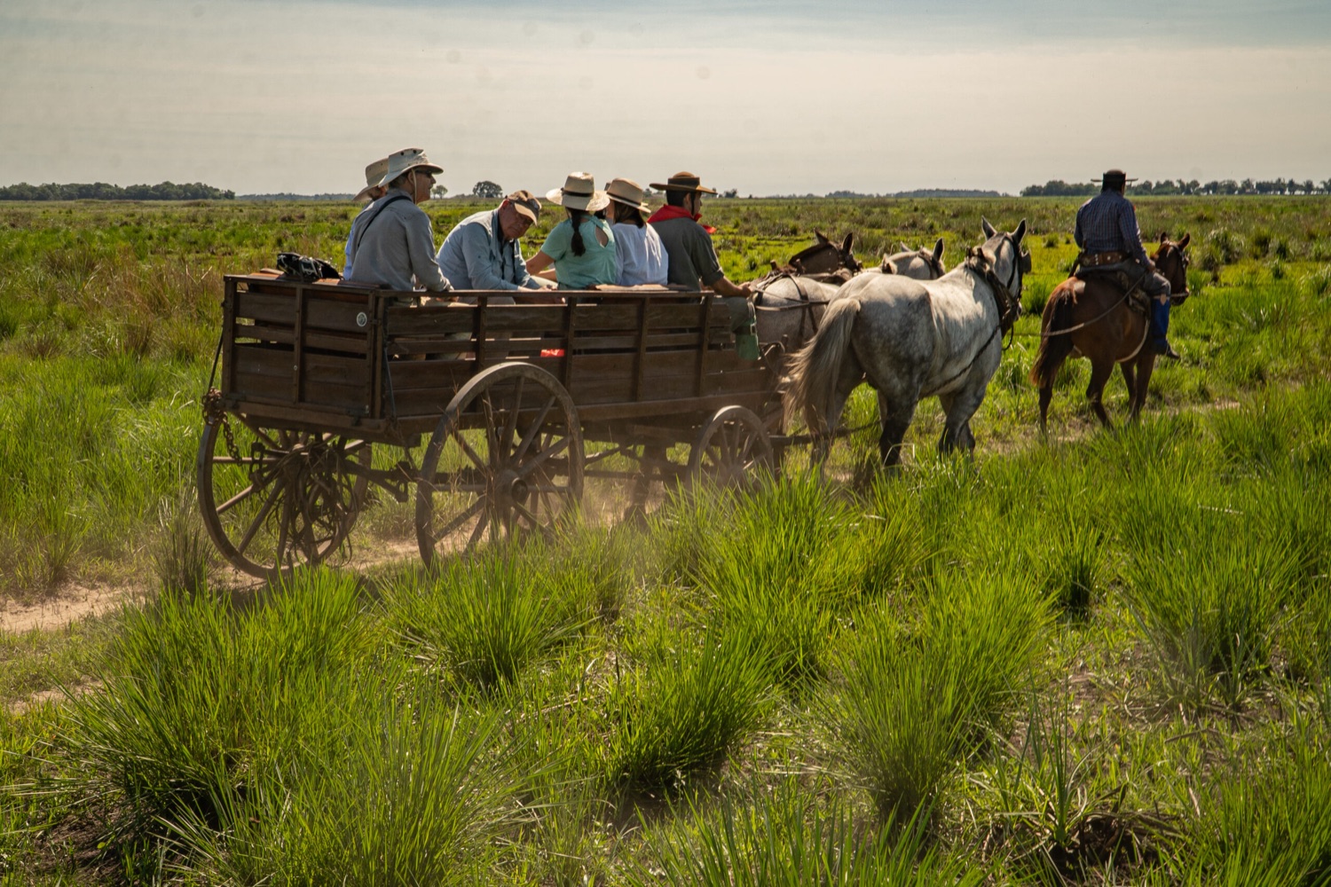 Cómo llegar a los Esteros del Iberá desde Buenos Aires, Corrientes y Posadas