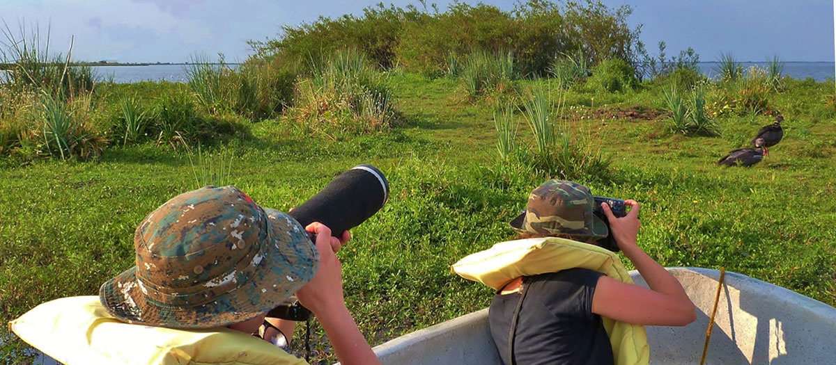 The Wildlife You Will Actually See in Iberá (Not the Jaguar)