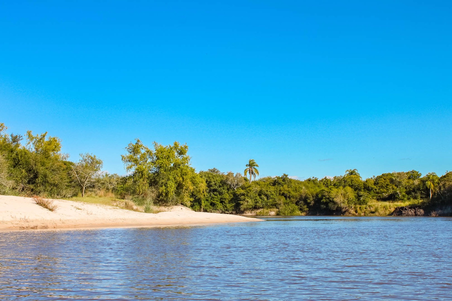 Cuándo visitar los Esteros del Iberá: la mejor época del año