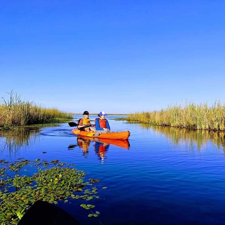 Kayak entre camalotes y pajonales