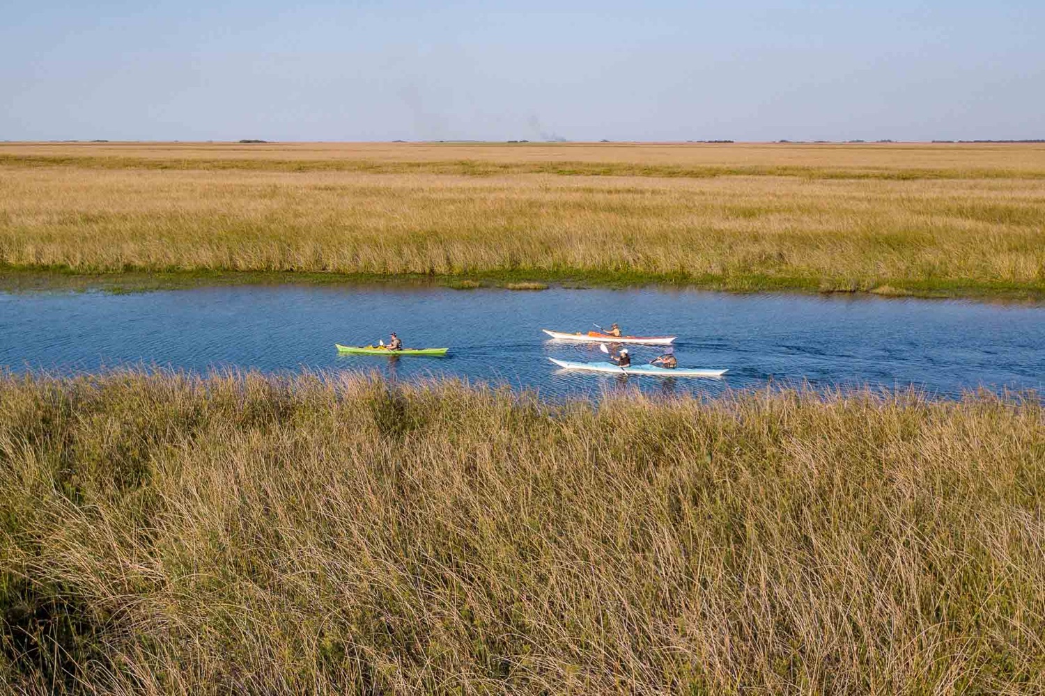 Travesía en kayak por los esteros (foto: Matías Rebak)