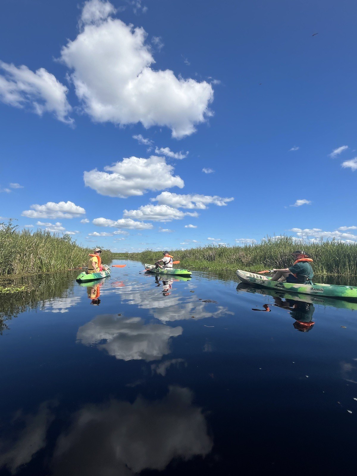 Kayak en los Esteros del Iberá: la guía completa