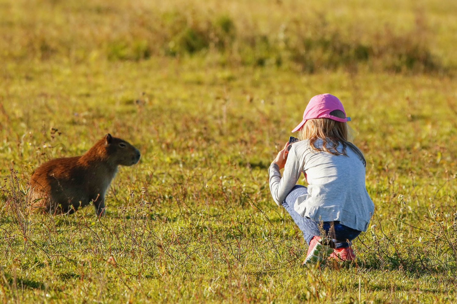 Esteros del Iberá con chicos: la guía para viajar en familia