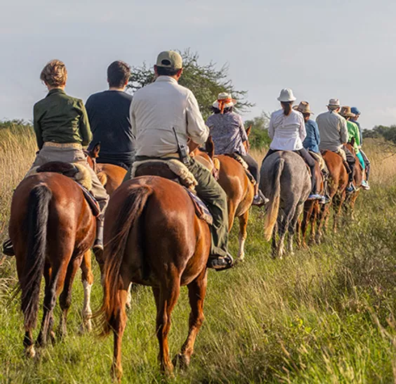 Cabalgata por los pajonales del Portal Uguay al atardecer