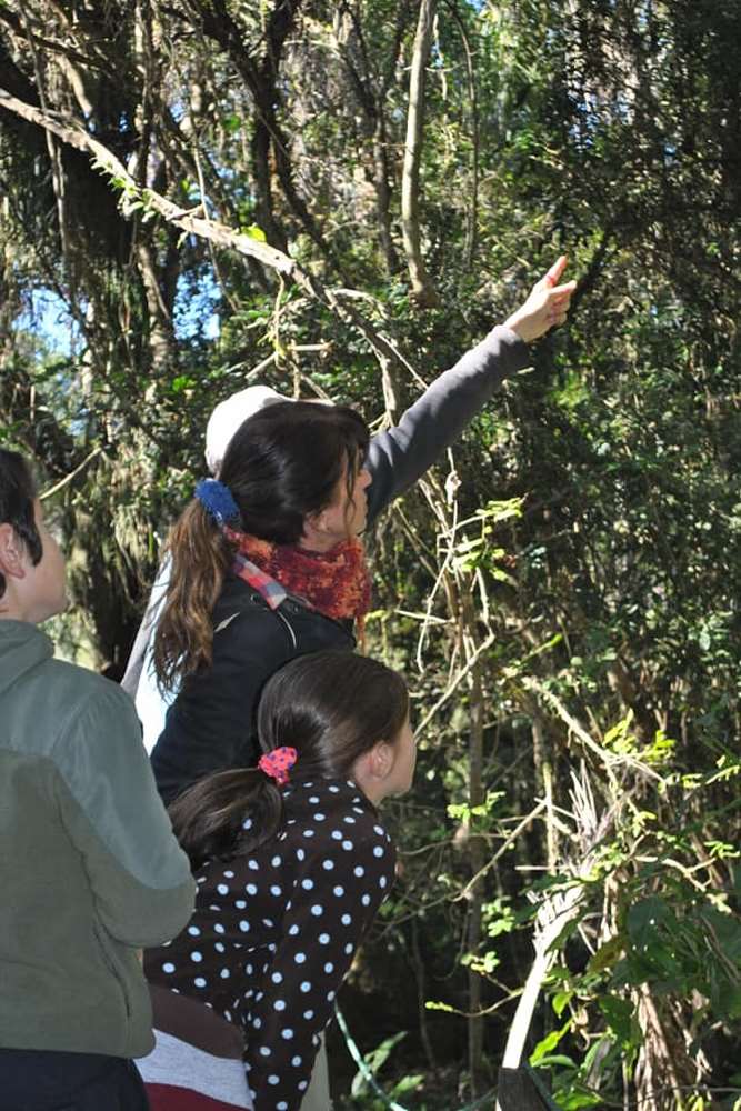 Guía con turistas en los esteros