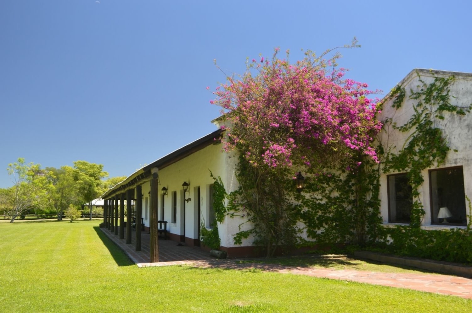 Astroturismo Iberá Sur