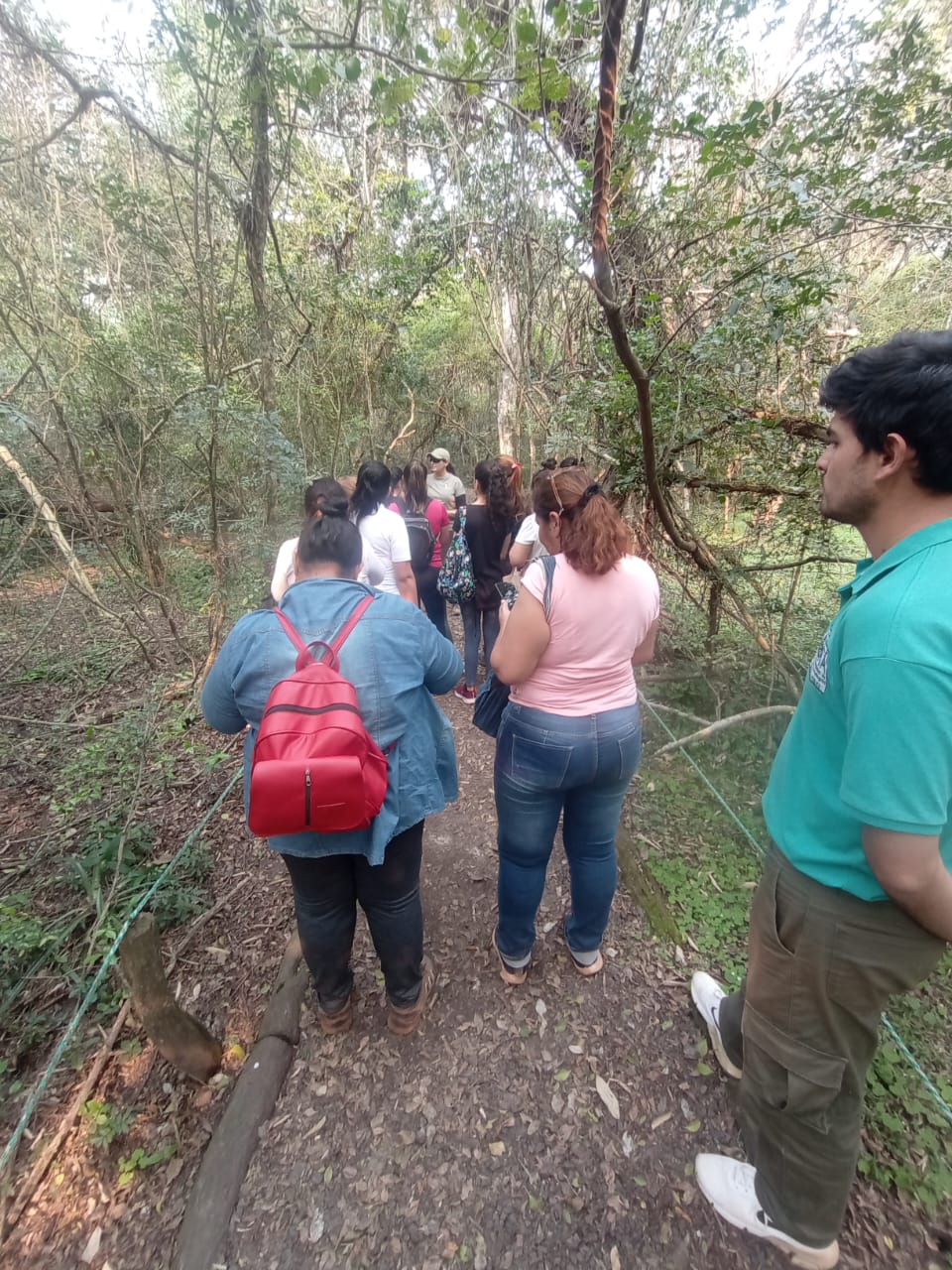 Caminata guiada por un sendero del monte, bajo los árboles