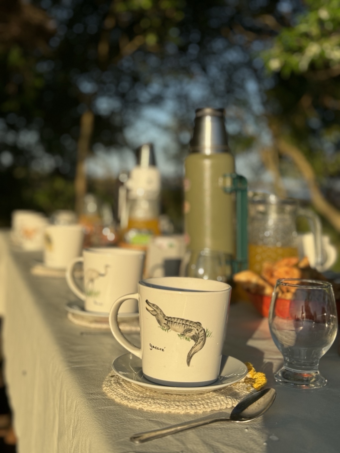 Merienda campestre a orillas del estero con Aramí Excursiones