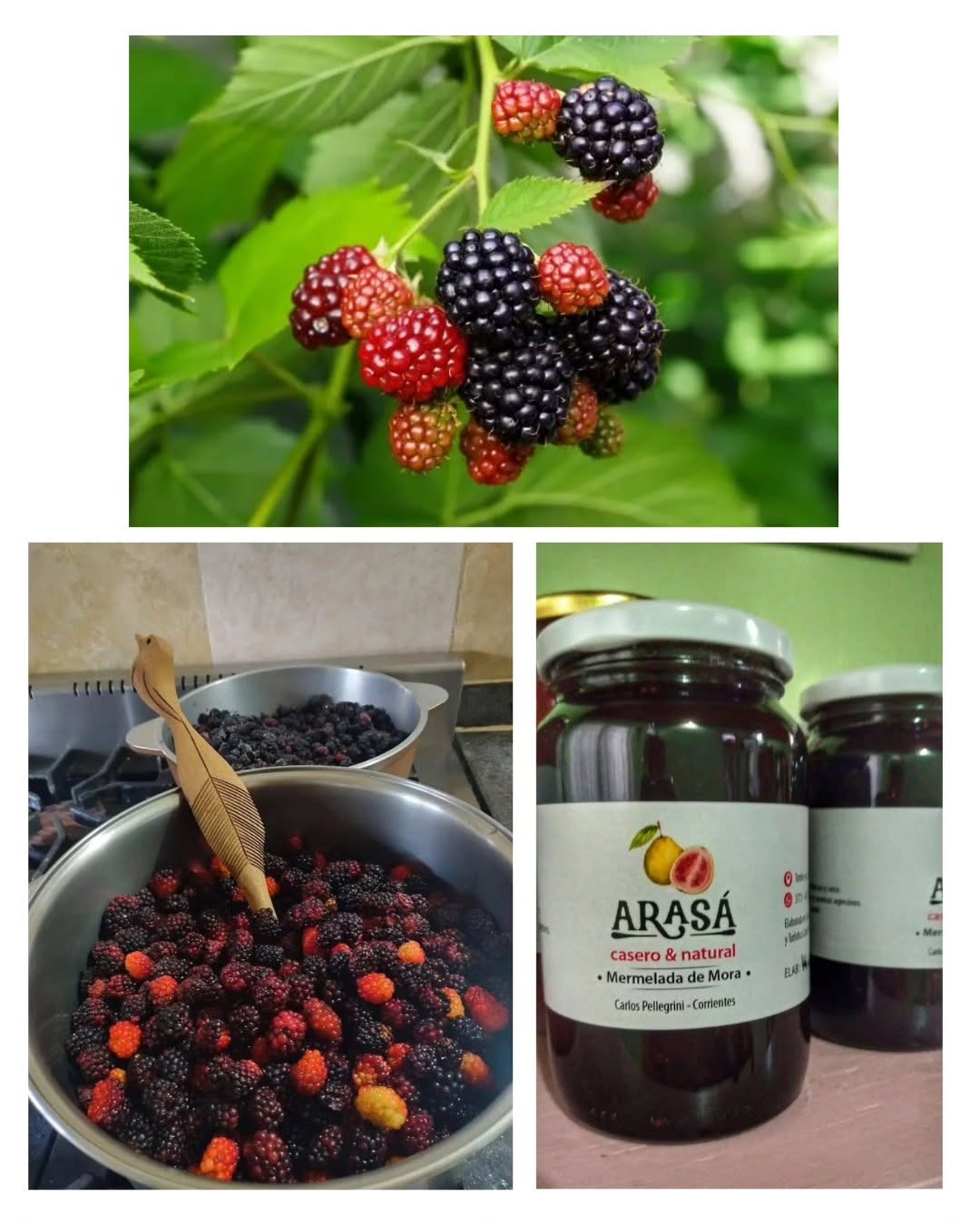 Frutos nativos usados en las recetas tradicionales de Arasá