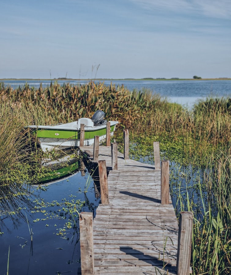 Embarcadero de madera con lancha en los pajonales del Iberá