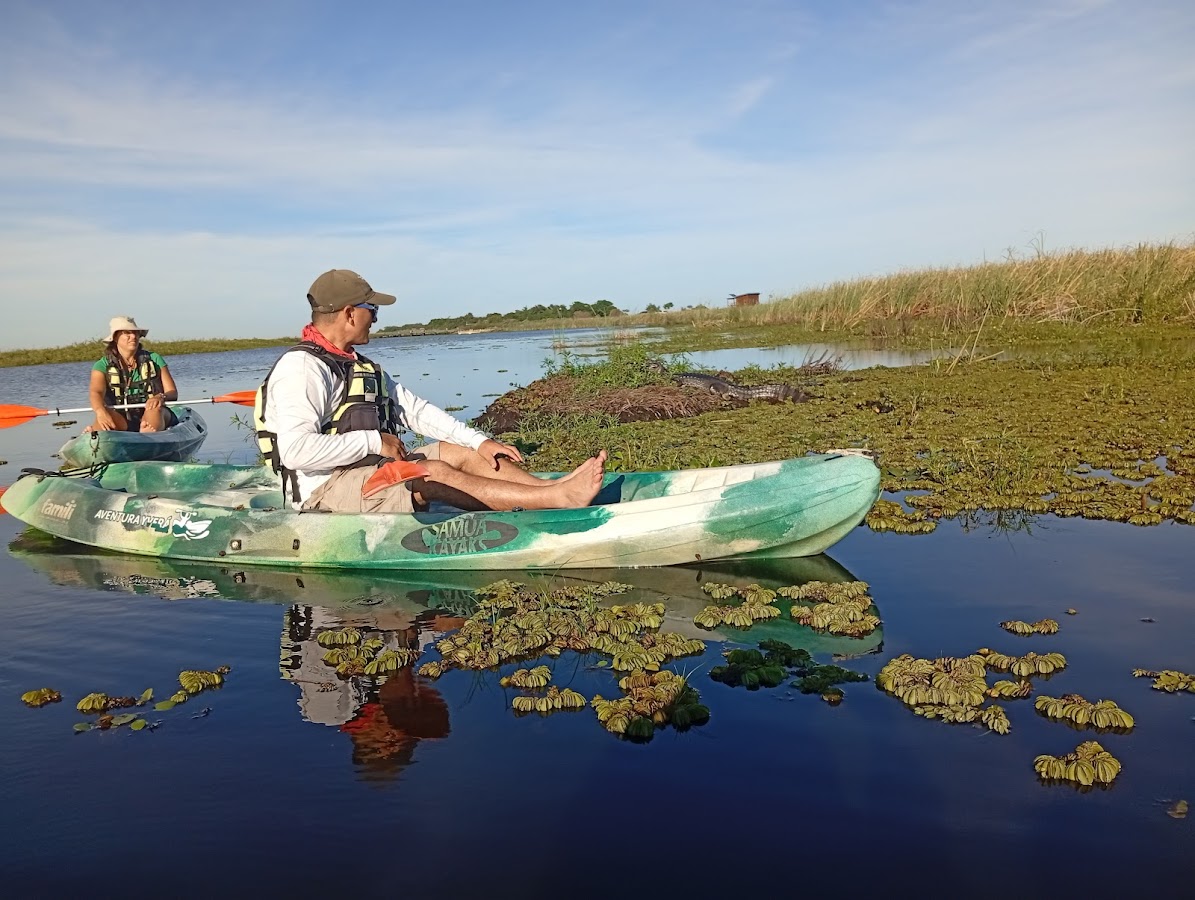 Guía en kayak Aventura Yvera navegando entre camalotes del estero