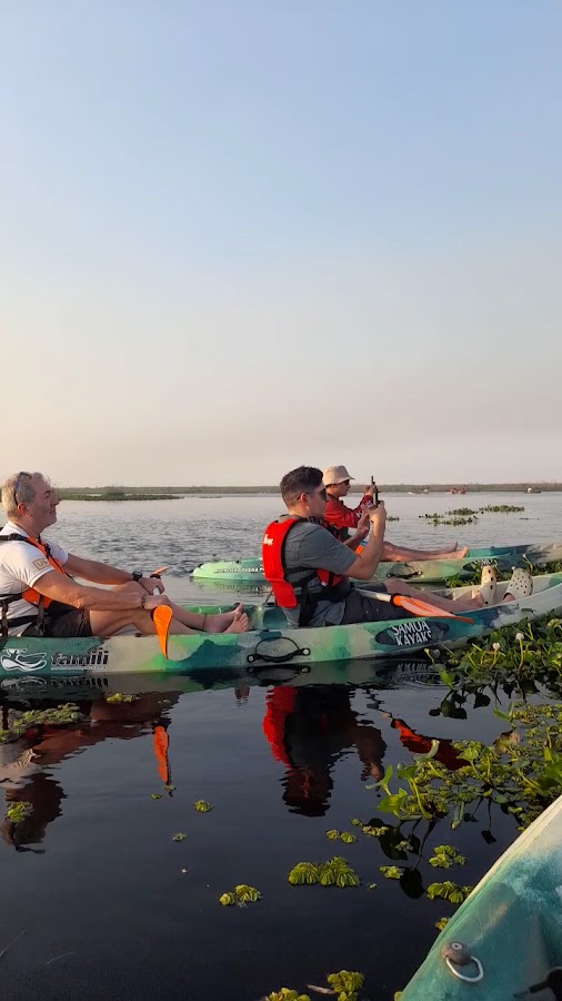 Excursión en kayak al atardecer: grupo con chalecos en el Iberá