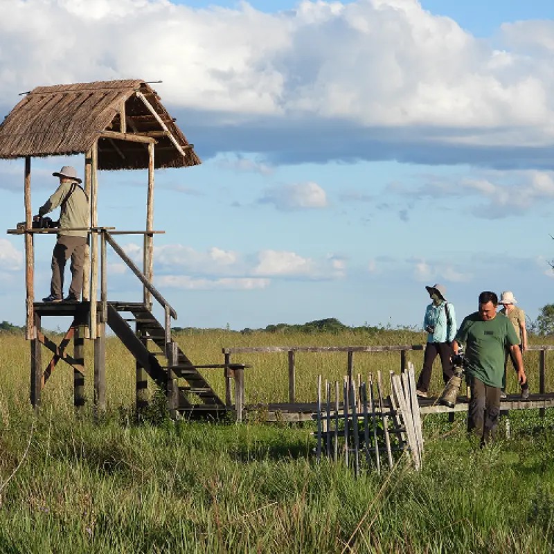 Grupo de avistaje en la pasarela y el mirador sobre el estero