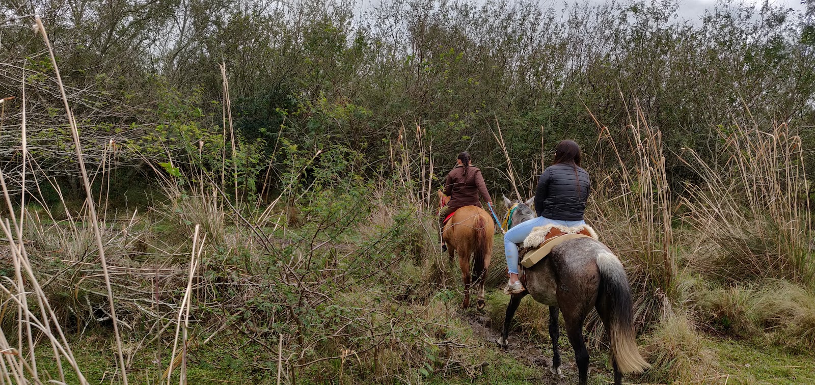 Horseback ride through the grasslands