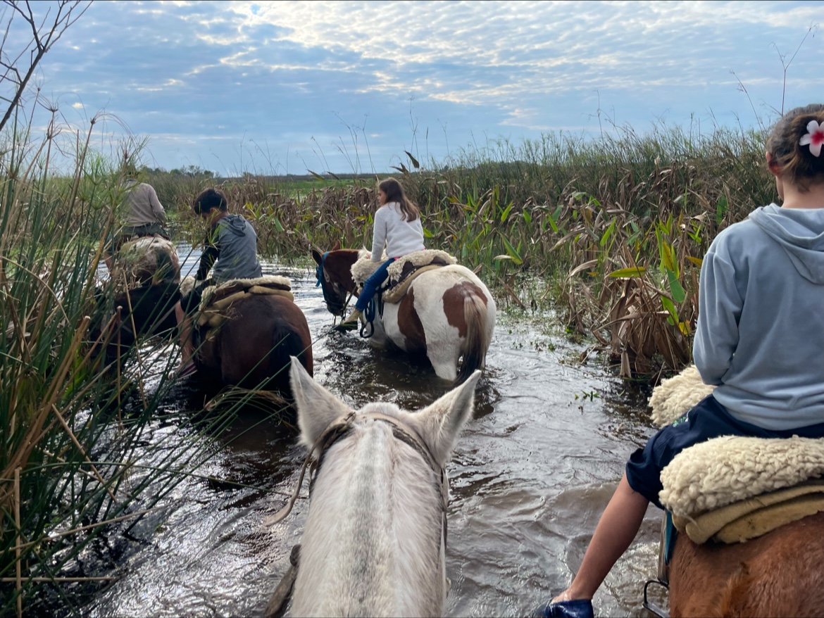 Cabalgatas Don Tacho