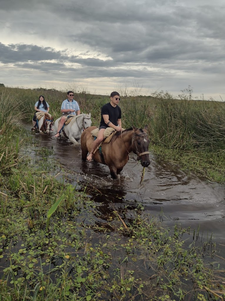 Turistas cruzando el canal inundado a caballo al atardecer en el Iberá