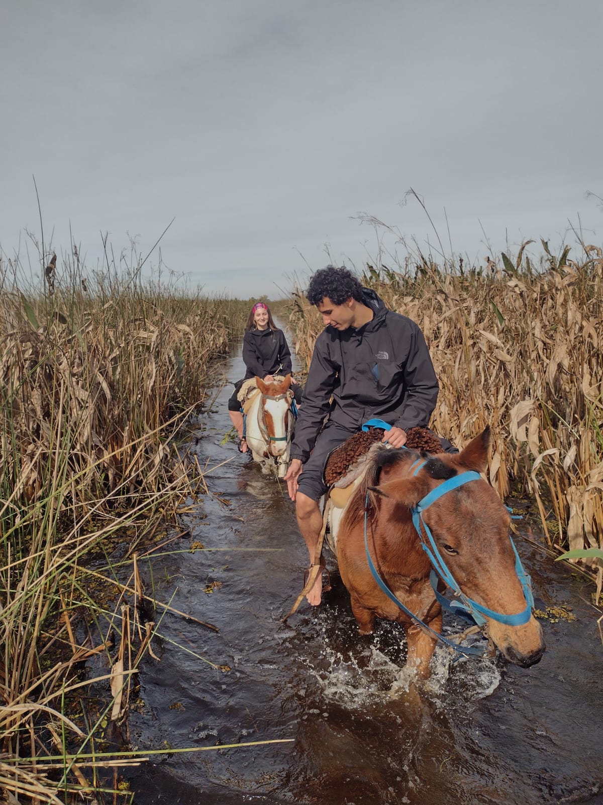 Travesía a caballo cruzando el bañado entre juncos con Don Tacho