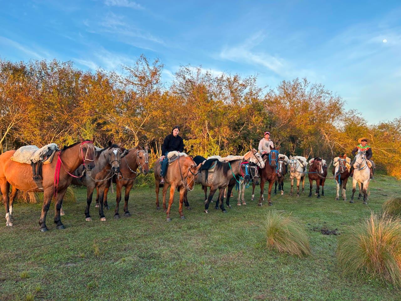 Cabalgatas M y S