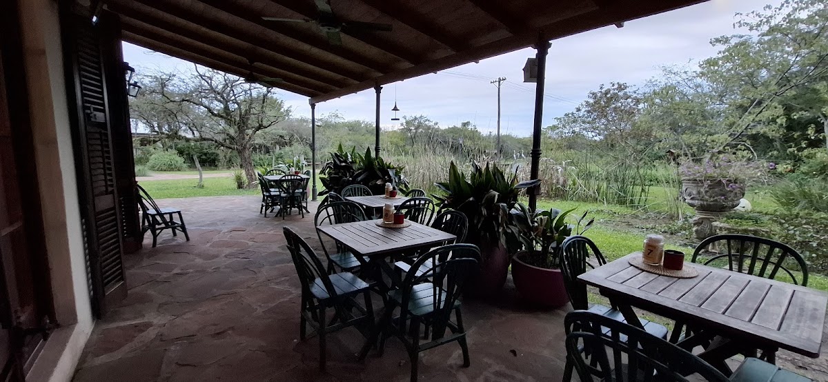 Galería exterior con mesas de madera y vista al monte nativo