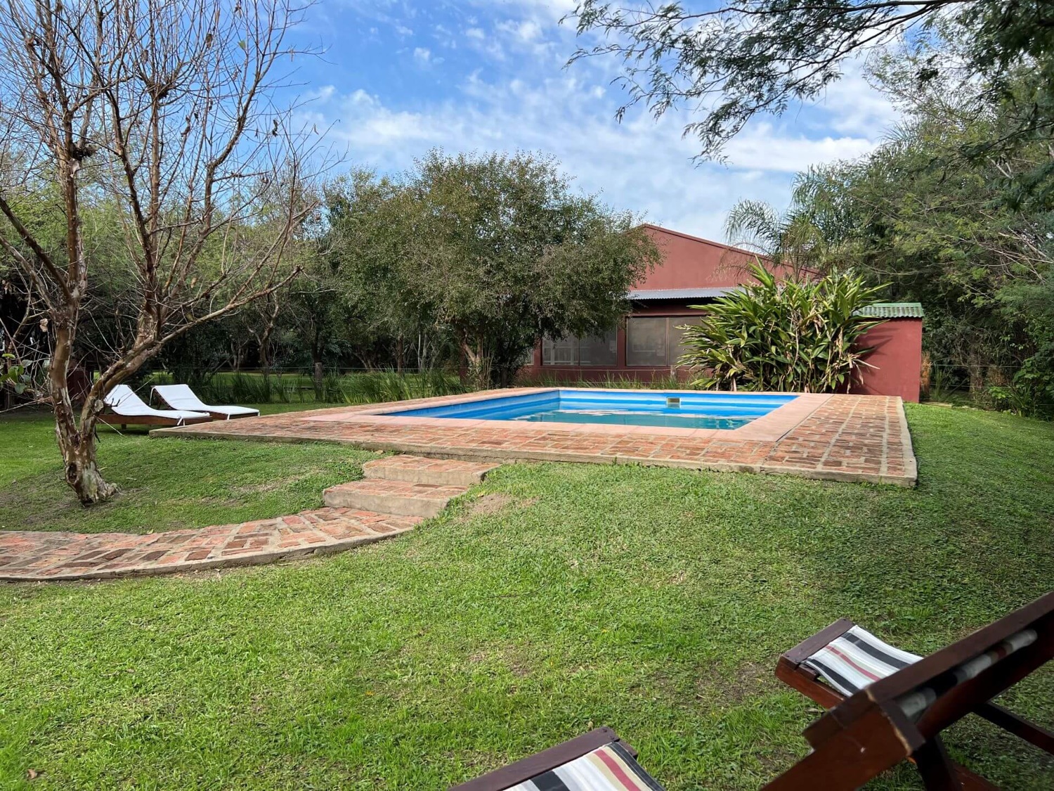 Piscina con reposeras y jardín