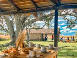 Mesa de desayuno bajo los árboles con vista al humedal del Iberá