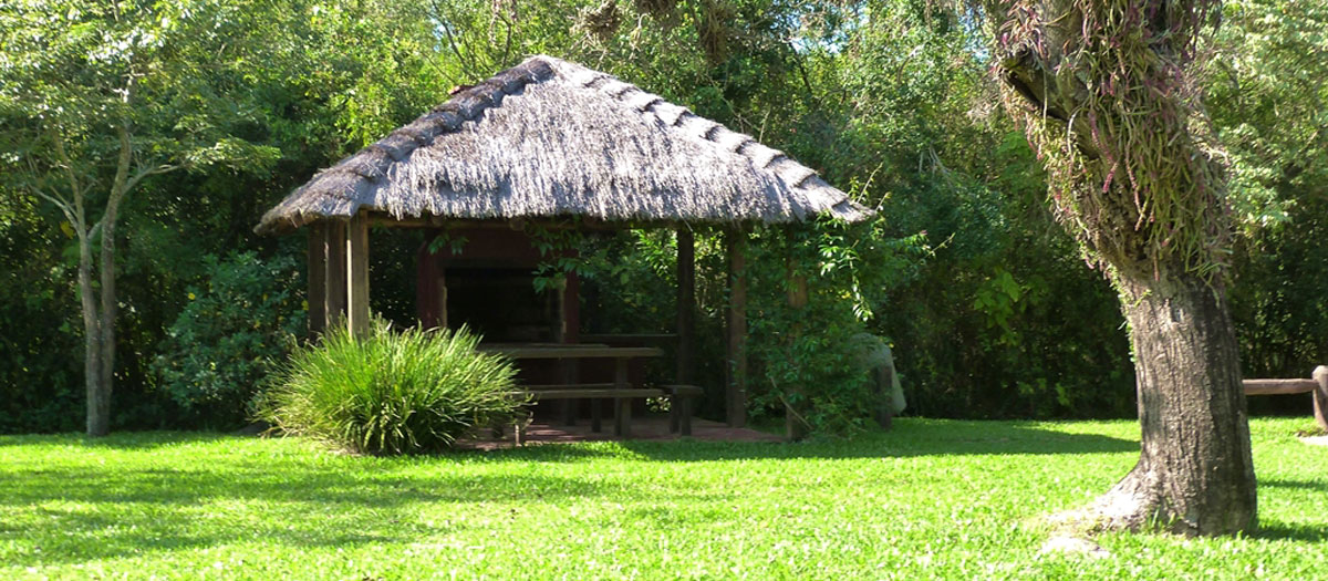 Quincho de techo de paja entre el monte nativo