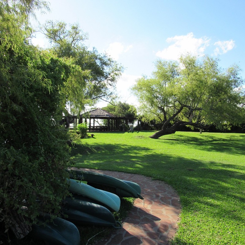 Jardín con kayaks y gazebo bajo los árboles nativos