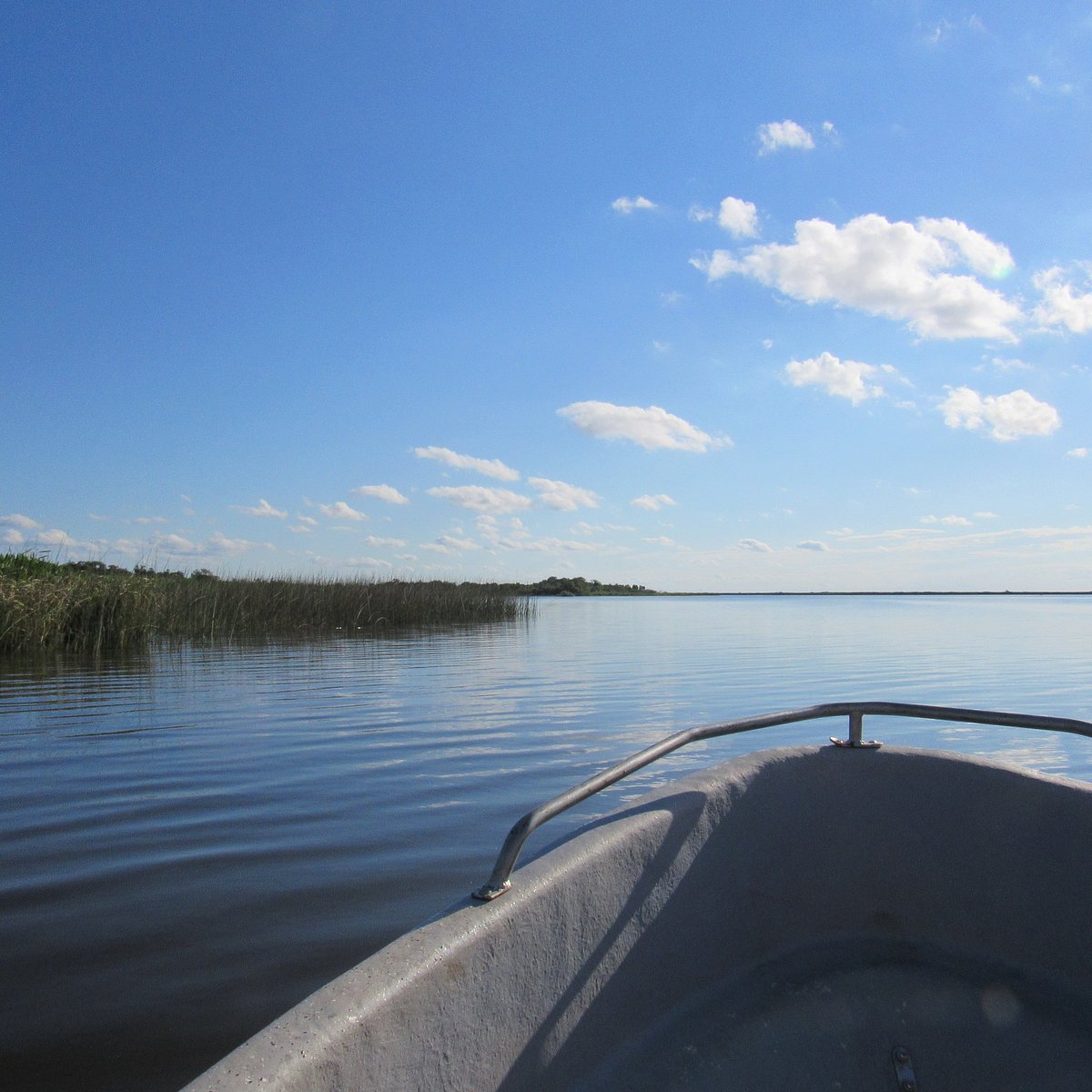 Excursión en lancha por la Laguna Iberá bajo cielo azul