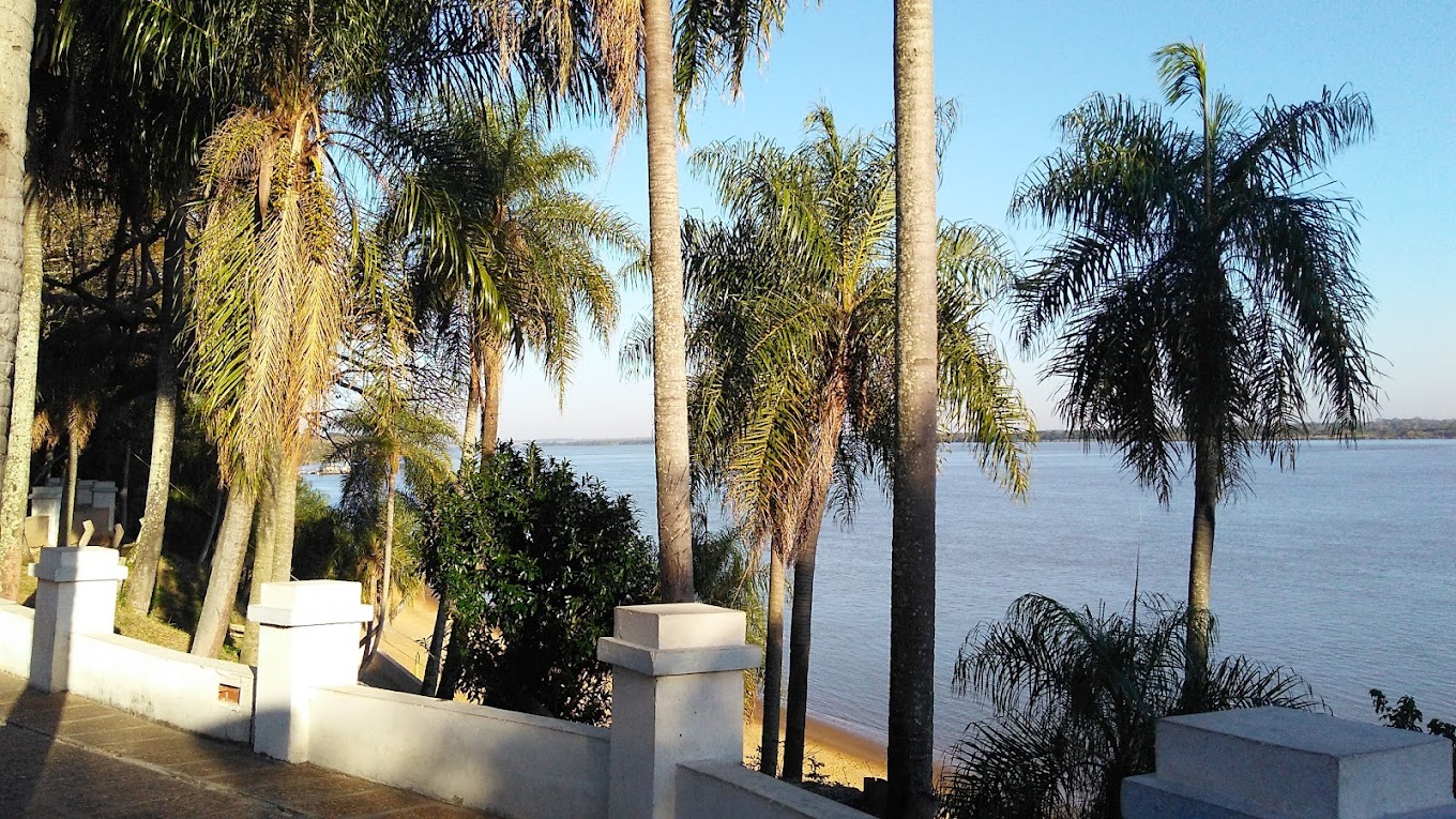 Vista de palmeras y el río Paraná desde el Cezeta Hotel en Ituzaingó