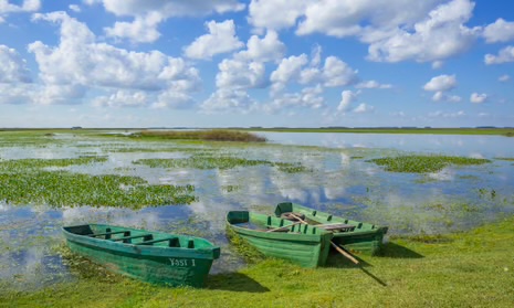 Eco Wetland Travel
