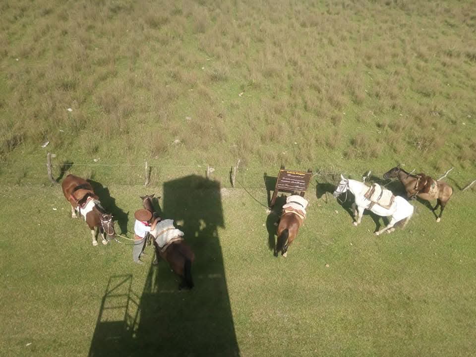 La tropilla ensillada, vista desde el mirador