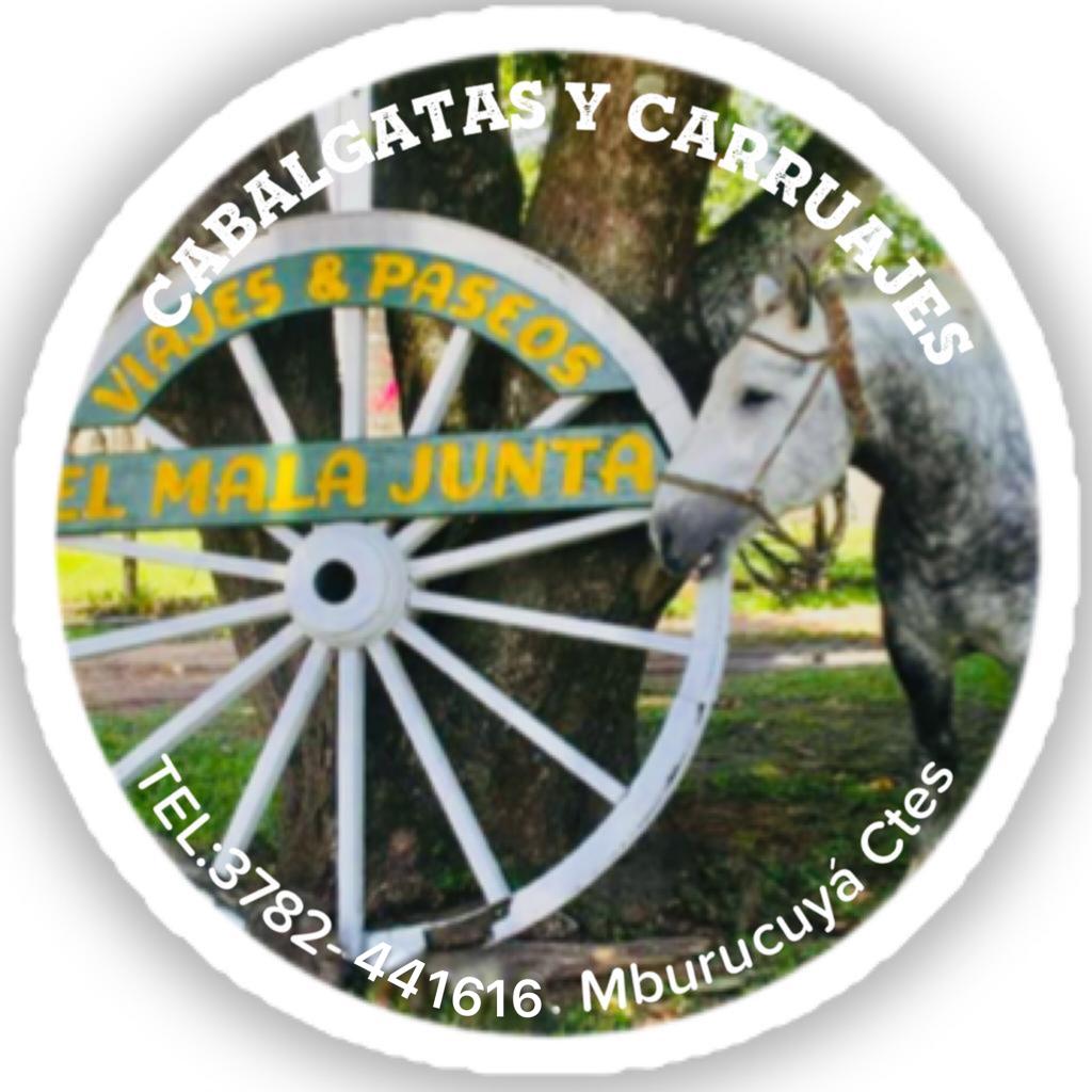 El logo, con la rueda de carro y el caballo