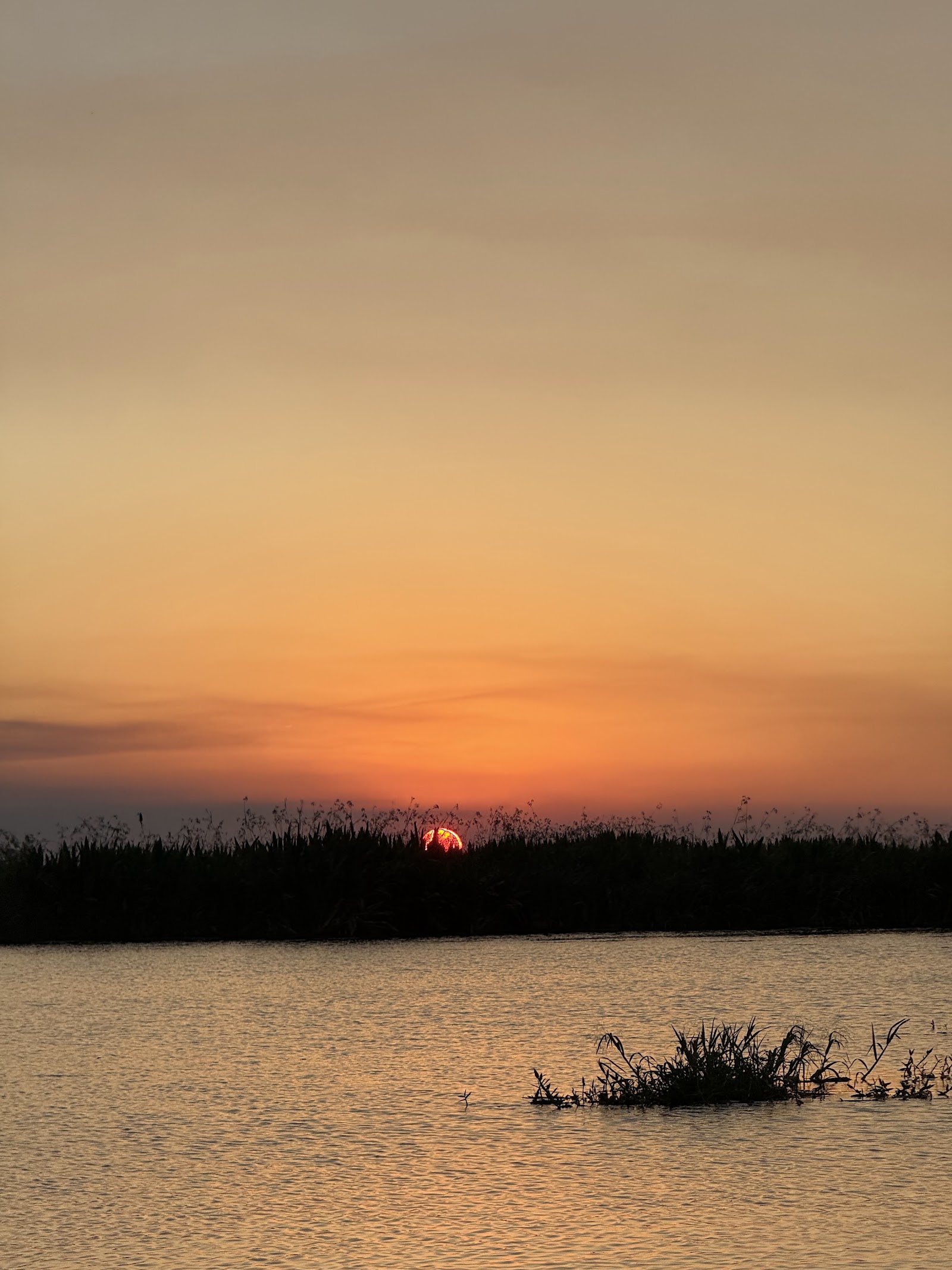 Atardecer sobre los esteros