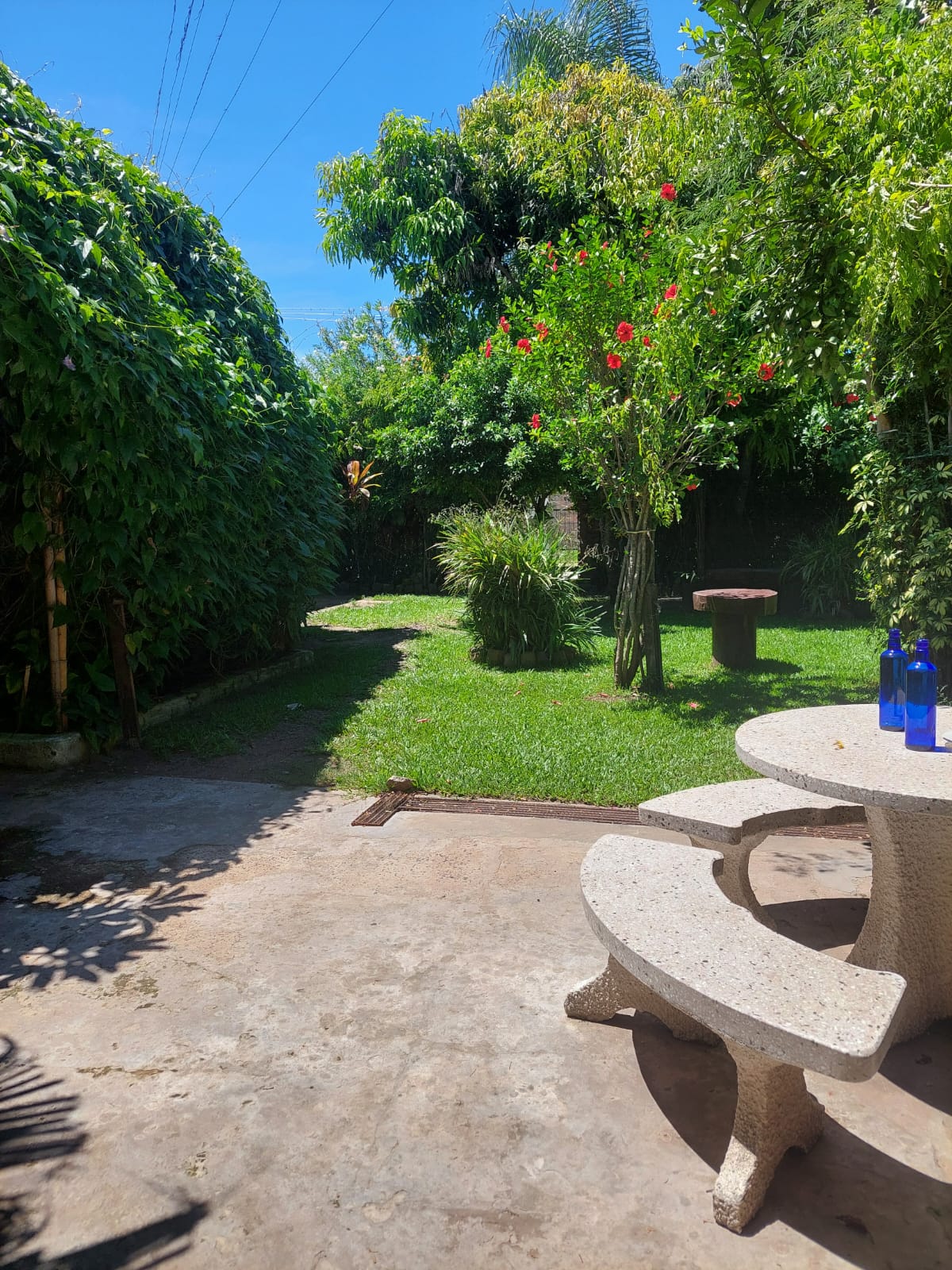 El jardín con mesas de piedra a la sombra