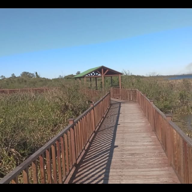 Pasarela de madera sobre los esteros con gazebo