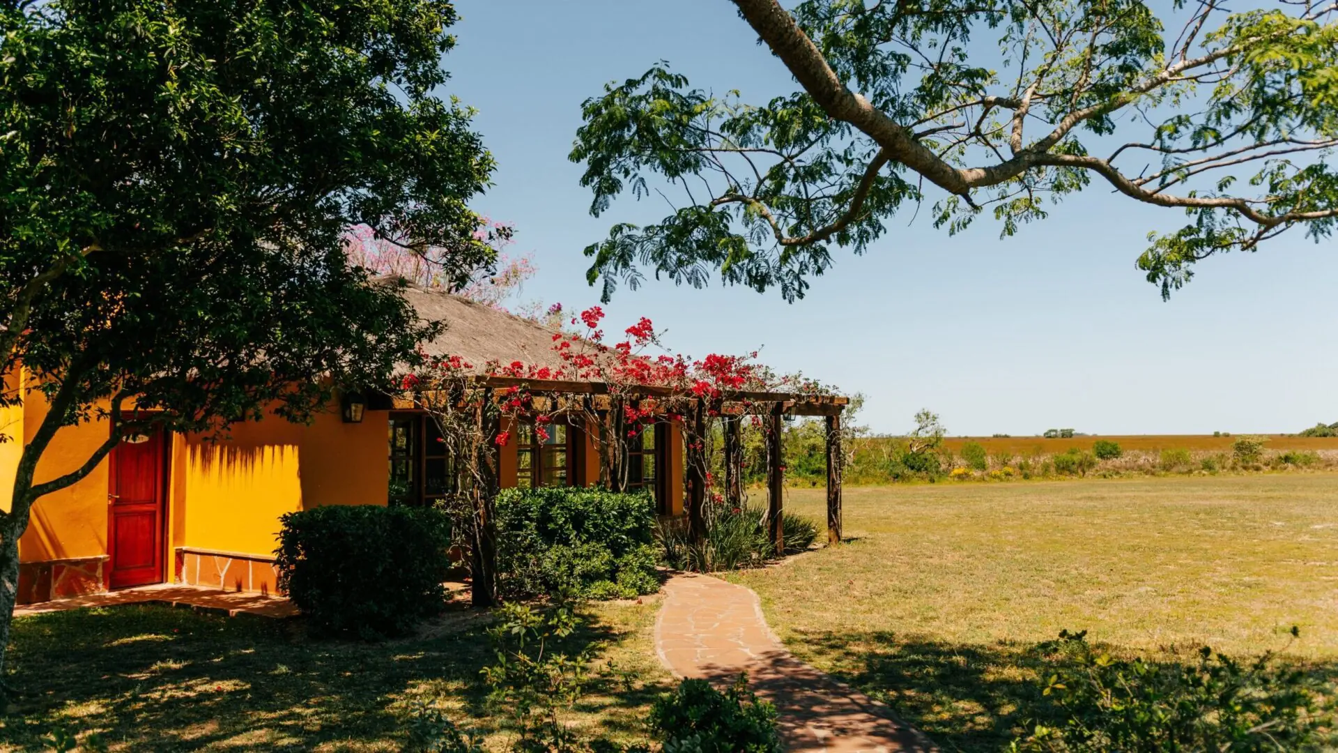 Fachada colonial con buganvilla y jardín al frente